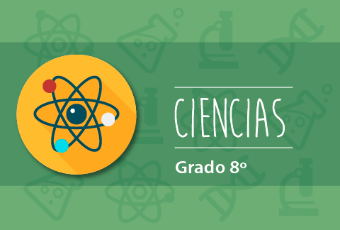 ciencias grado 8 iefa
